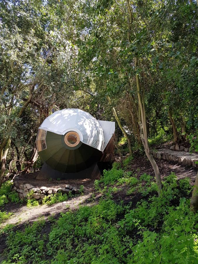 Biosfera Lodge